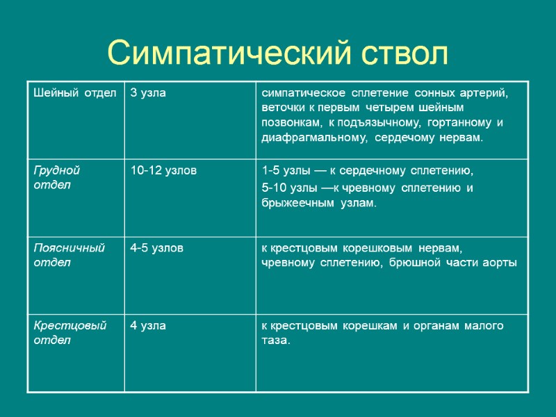 Симпатический ствол